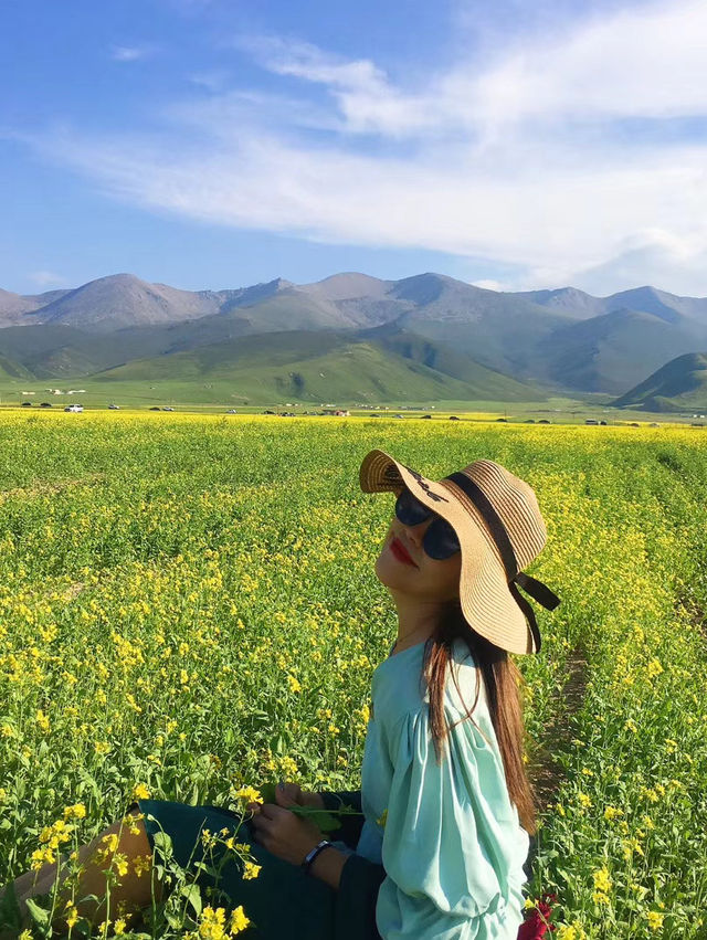 青海湖油菜花旅遊攻略｜邂逅金黃花海