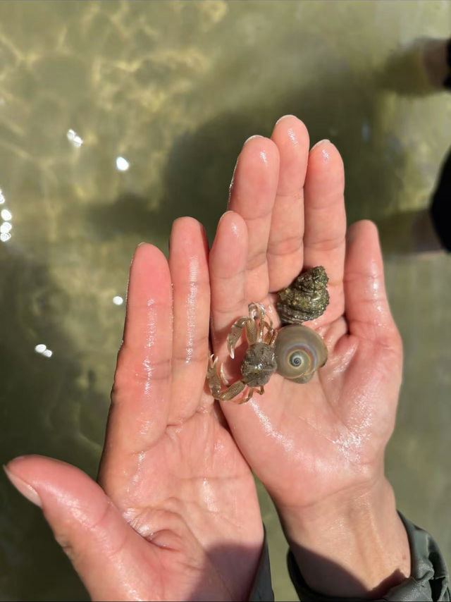 高鐵站旁嘅寶藏民宿！汕尾之旅絕配