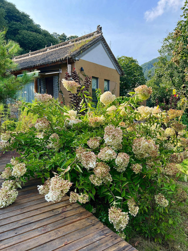 珠海北山漫民宿✨隨手拍都像畫報的隱世寶藏！