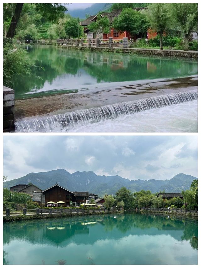 剛從雲舍村返嚟，講啲難聽嘅大實話