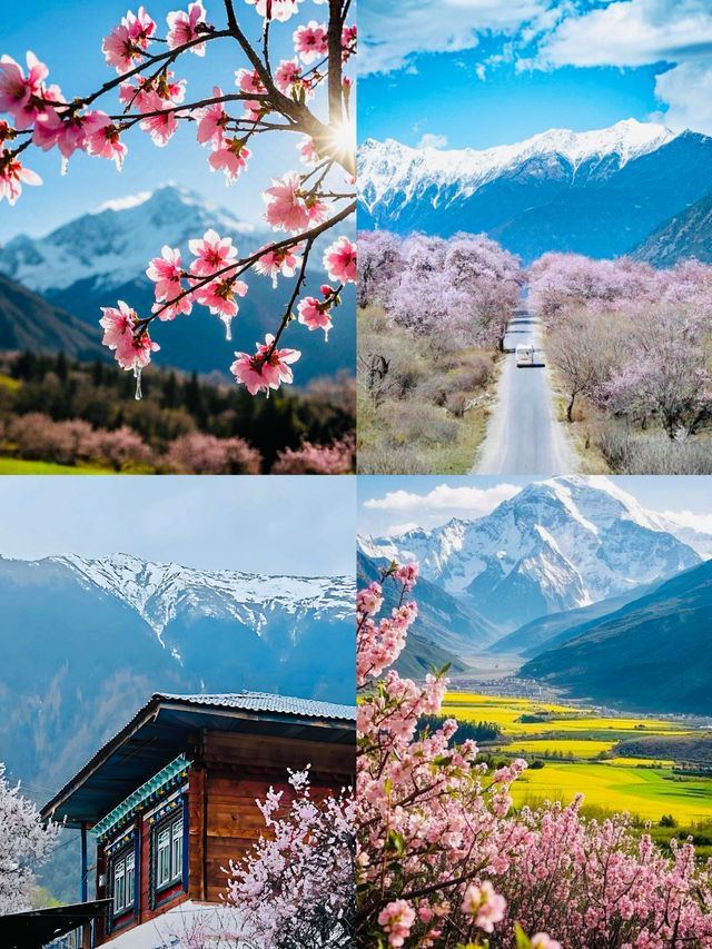 中國最美春日盛宴！林芝桃花節必打卡指南