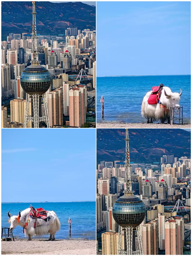 7-8月小預算旅行，呢個城市最啱！