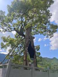 婺源旅行攻略出發前必睇～