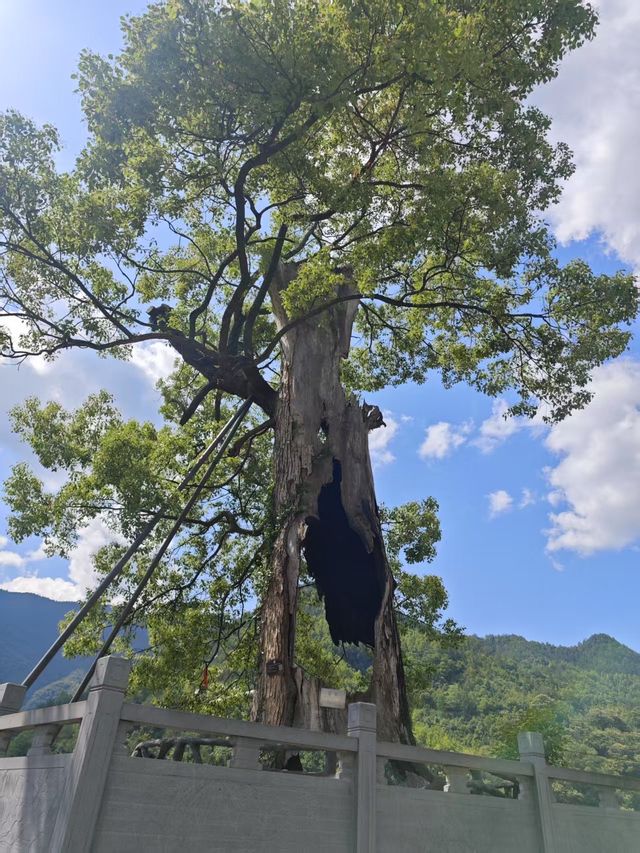 婺源旅行攻略出發前必睇～