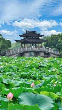 優質嘅6天旅遊行程，涵蓋蘇州、杭州同上海，確保您哋品嚐到當地嘅美食，入住舒適嘅酒店，享受輕鬆愉快嘅旅