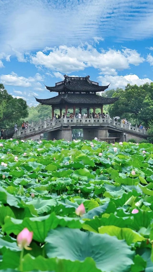 優質嘅6天旅遊行程，涵蓋蘇州、杭州同上海，確保您哋品嚐到當地嘅美食，入住舒適嘅酒店，享受輕鬆愉快嘅旅