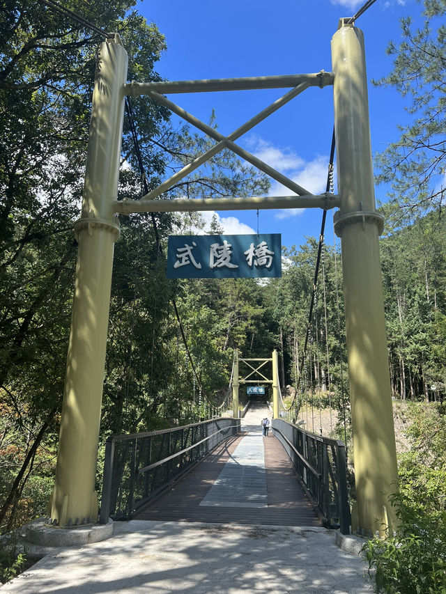 藏在山林裡的寧靜秘境：兩天一夜走進武陵的療癒之旅