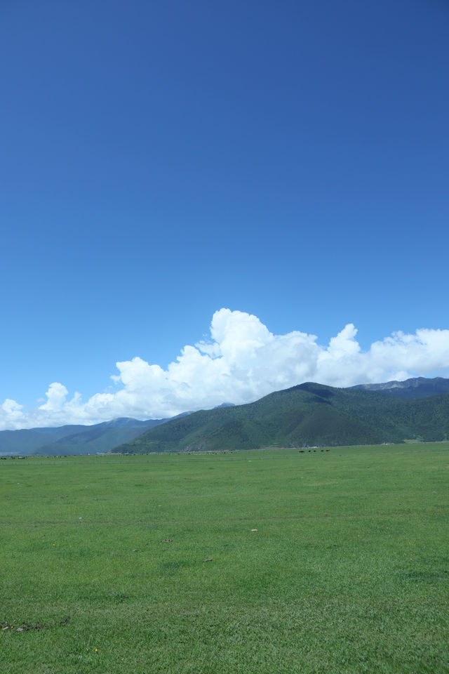 藏地避暑指南，高原反應星人也能輕鬆躺平看雪山！