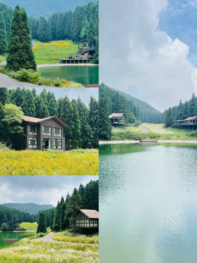 避暑就嚟武陵山國家森林公園！今個夏天最清涼嘅山野秘境