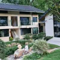 良渚｜隱藏於古樹深處，住進山系美學民宿