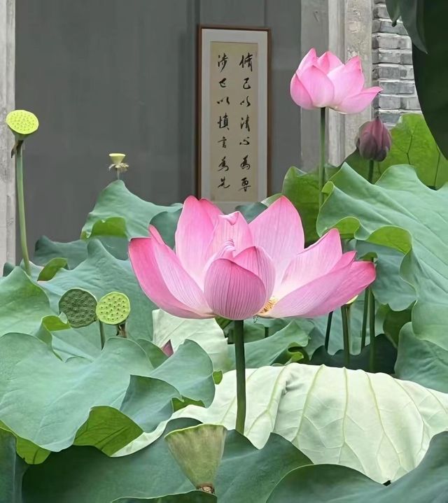 瀋陽回龍寺|邂逅千年唐風，解鎖歷史古韻
