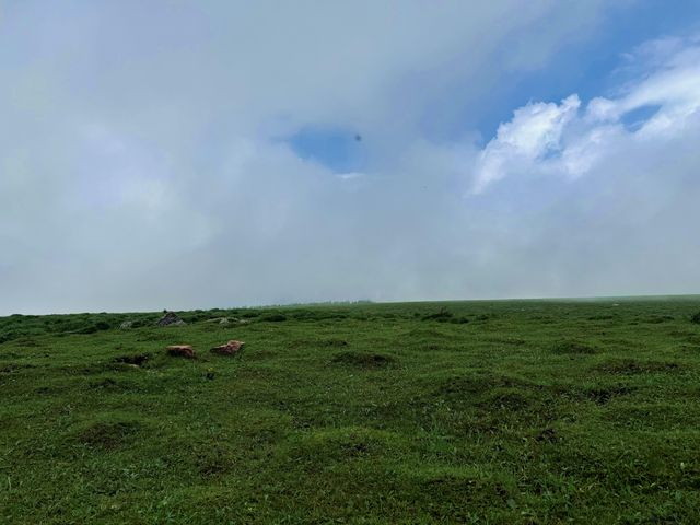 蘆芽山徒步筆記：在忻州的綠野仙蹤裡，我找到了北方最靈動的夏天