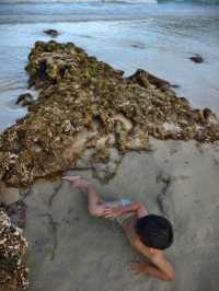 萬寧-陵水-三亞旅遊攻略：小眾親子遊+知識篇（幼兒友善版）