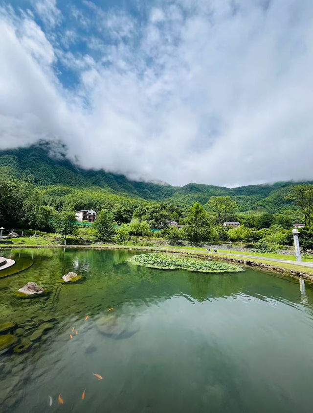 江西的山真的很美!水也養! 江西的山真的很美!水也養!