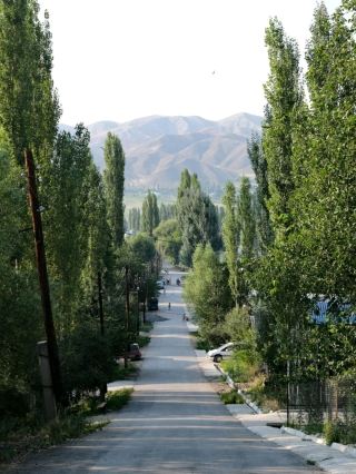 努卡特：通往自然與冒險的門戶 