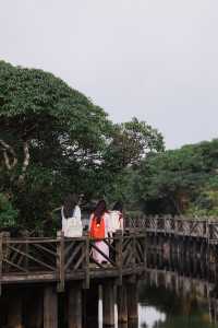 在貓兒山，解鎖「華南之巔」的N種寶藏玩法