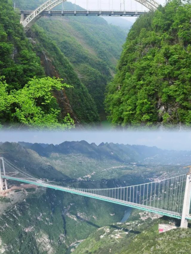 世界第一高橋震撼登場