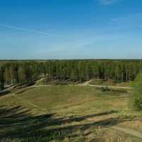 🌲 Forest Walks in Helsinki: Nature at the City’s Doorstep