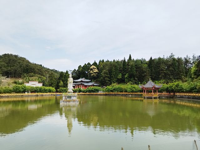 枯木庵：高僧在枯木中靜坐