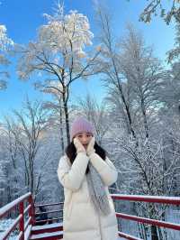 雪後的嵩山美到窒息這才是中原版的冰雪奇緣