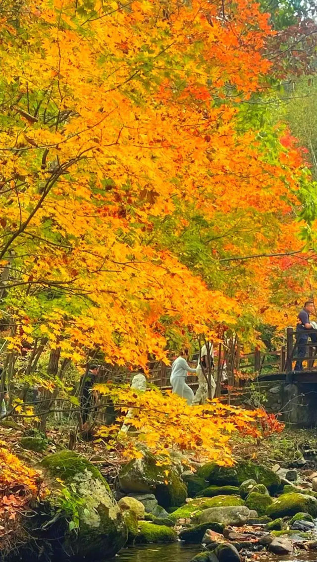 本溪老邊溝｜一腳踏進漫山紅透的童話世界