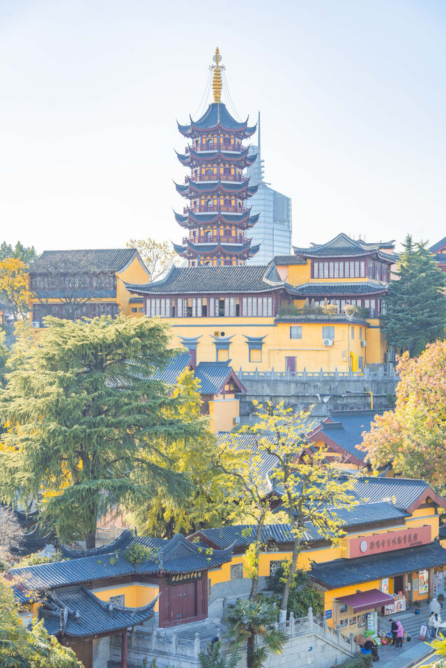 南京雞鳴寺的秋天拍照打卡指南。