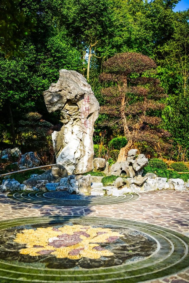 魔都寶藏植物園！櫻花季拍照美到犯規