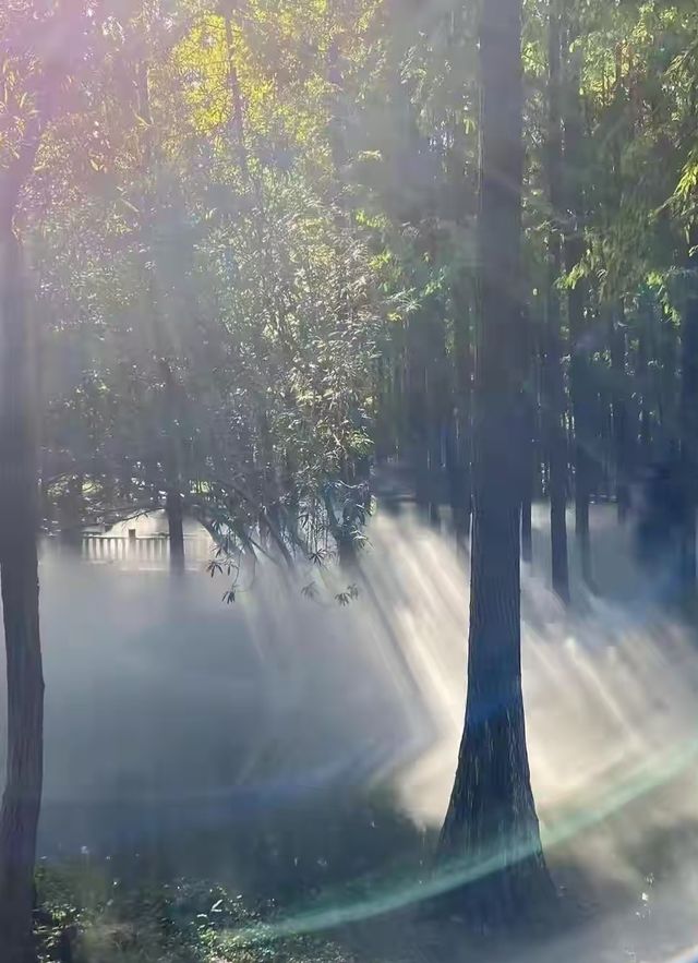 寧波的一個公園，我經常去真喜歡—日湖公園