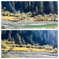 徒步格聶神山，晚上就住這裏