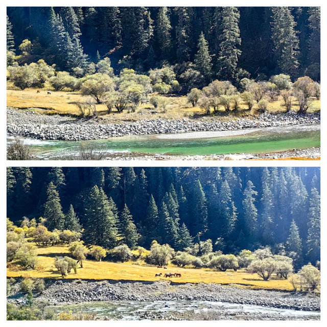 徒步格聶神山，晚上就住這裏