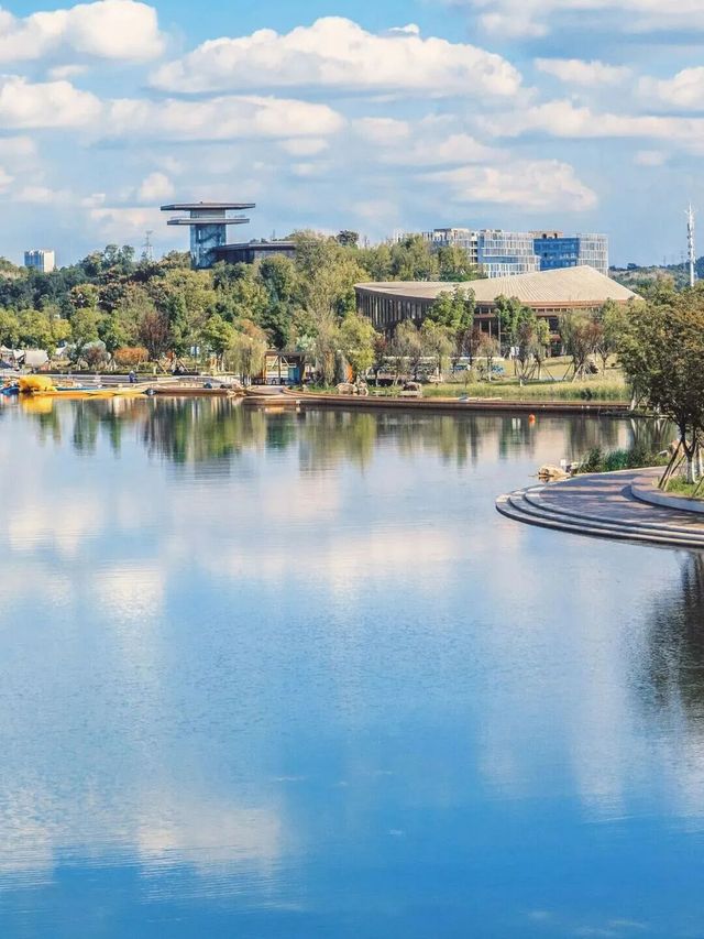 注意!這不是油畫,而是成都的彩色秋天! 注意!這不是油畫,而是成都的彩色秋天!