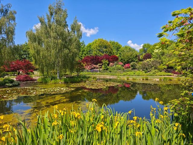 藍山腳下的秘密花園梅菲爾德絕美打卡攻略