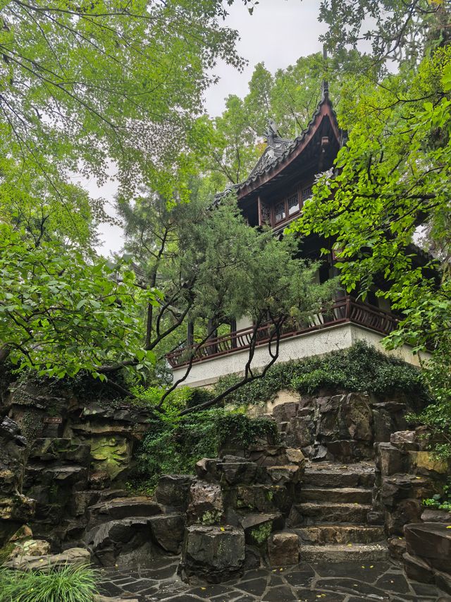 曲水園的菊花展已經幫你們看過了 曲水園的菊花展已經幫你們看過了