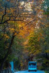 北京南石洋大峽谷｜不必遠赴深山，北京城西就藏著秋日童話。