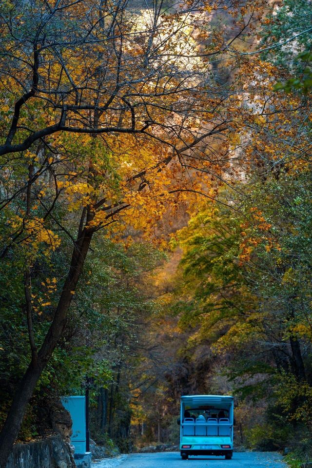 北京南石洋大峽谷｜不必遠赴深山，北京城西就藏著秋日童話。