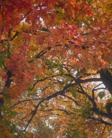 還得是西安的小香港啊!紡正街