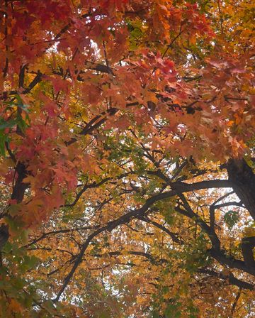 還得是西安的小香港啊!紡正街 還得是西安的小香港啊!紡正街