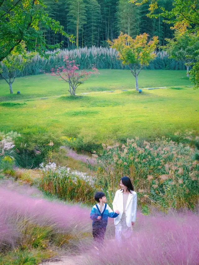 Nanjing Niushou Mountain is legendary in autumn! A complete two-day, one-night family trip guide