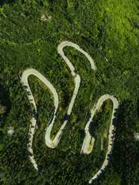 六盤山|闖入大西北的綠野秘境