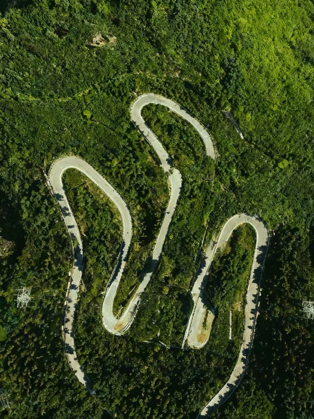 六盤山|闖入大西北的綠野秘境 六盤山|闖入大西北的綠野秘境