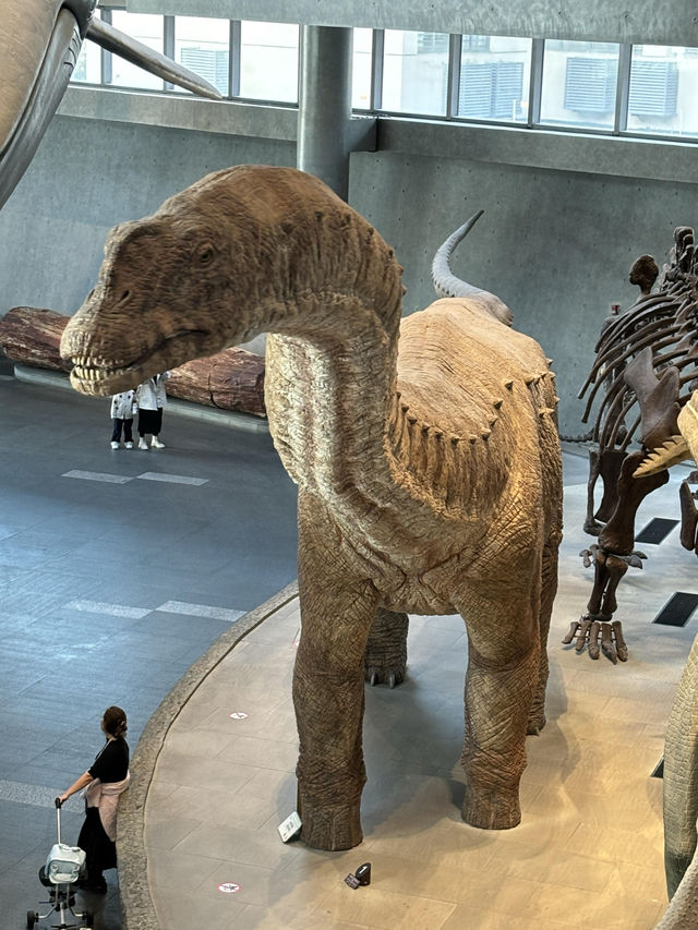 【上海自然博物館·萬物皆可見】超萌攻略來啦！