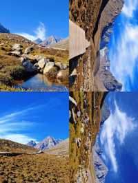 冰溝河秋色太絕了