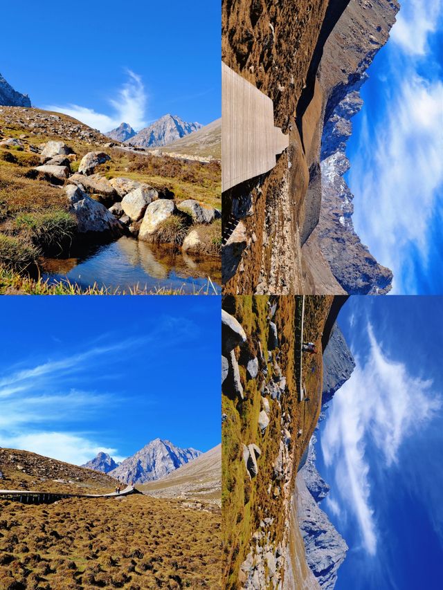 冰溝河秋色太絕了