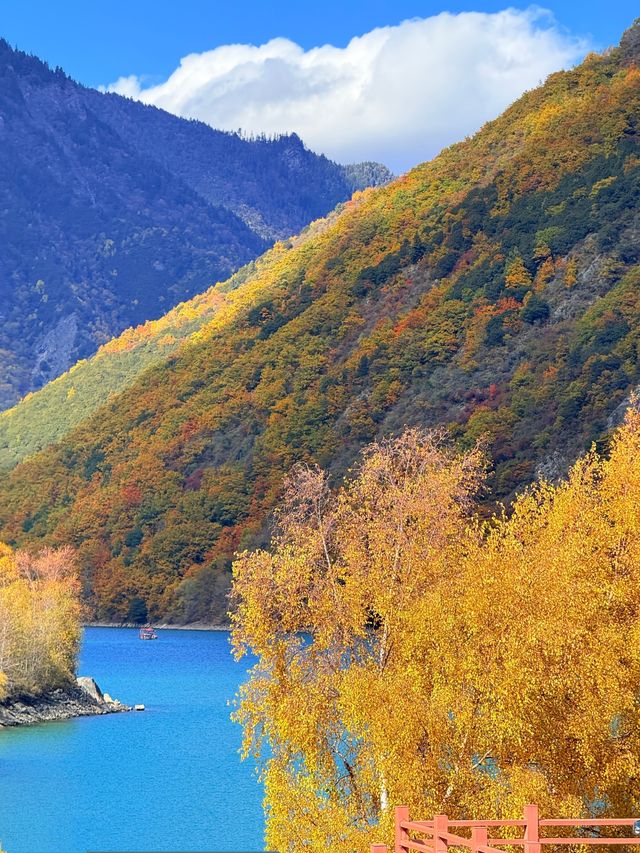 驚艷！川西小九寨松坪溝的秋色絕了一日打卡攻略