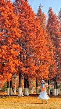 南昌紅葉季打卡指南這幾個地方強烈推薦！