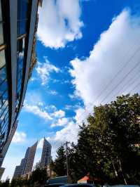 青島寶藏酒店｜位置好到哭，細節戳心巴