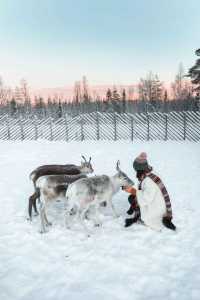北極圈浪漫天花板！特羅姆瑟閨蜜遊4天3晚全攻略