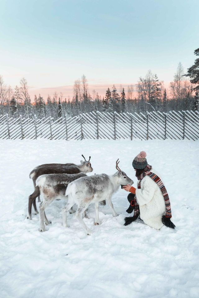 北極圈浪漫天花板！特羅姆瑟閨蜜遊4天3晚全攻略