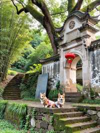 浙江人的秘密後花園！楠溪江才是真正的江南山水天花板