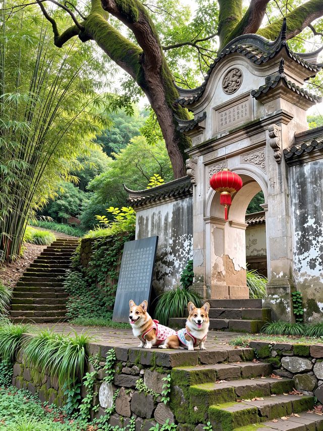 浙江人的秘密後花園！楠溪江才是真正的江南山水天花板